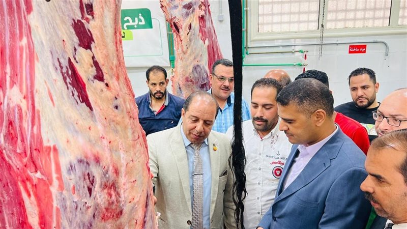 جولة نائب محافظ الدقهلية
