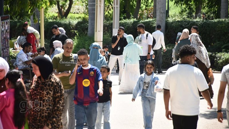 زيادة أعداد زوار