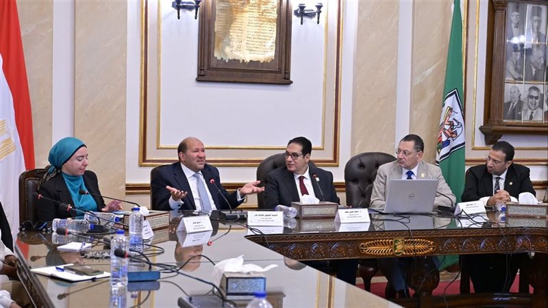مجلس جامعة القاهرة