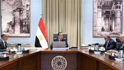 مدبولي يبحث مقترح إنشاء مركز توزيع لوجيستي عالمي بـ 