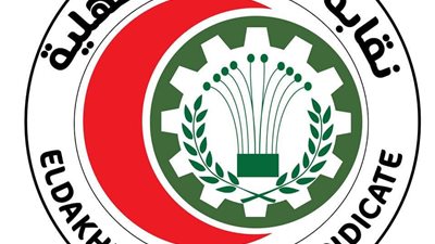 قدمنا الرعاية الكاملة ونرفض الأحكام المسبقة، بيان عاجل من «أطباء الدقهلية» بشأن وفاة طفل المنزلة 