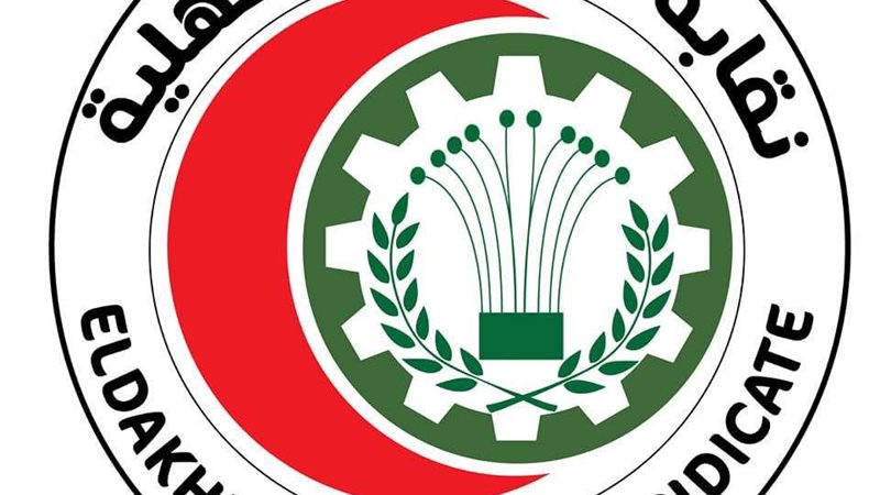 نقابة أطباء الدقهلية،