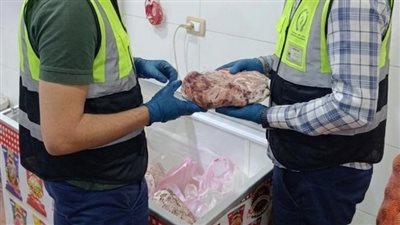 ضبط نصف طن لحوم وحمام فاسد بالغربية (صور)