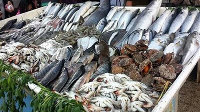 أسعار السمك اليوم، انخفاض البلطي والجمبري وارتفاع البوري 30 جنيها