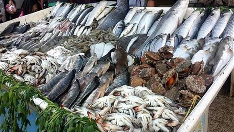 أسعار السمك اليوم،