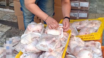 ضبط 500 كجم دواجن مجهولة المصدر في بورسعيد (صور)