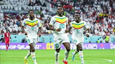 كأس العالم، سقوط الديوك أمام ساحل العاج ينعش آمال السنغال في المونديال
