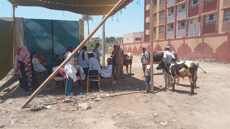 جانب من القافلة البيطرية