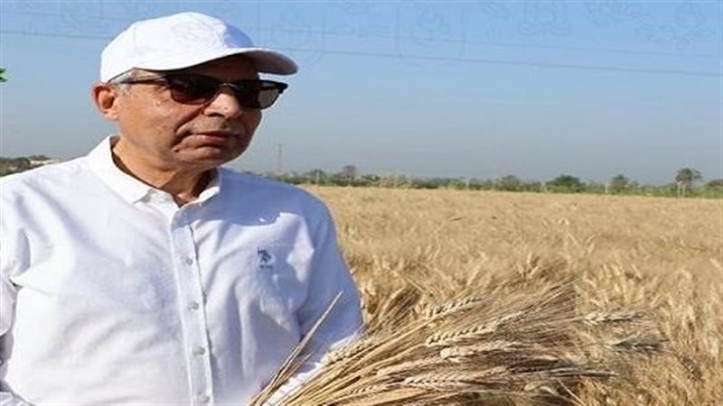 توريد 490 ألف طن