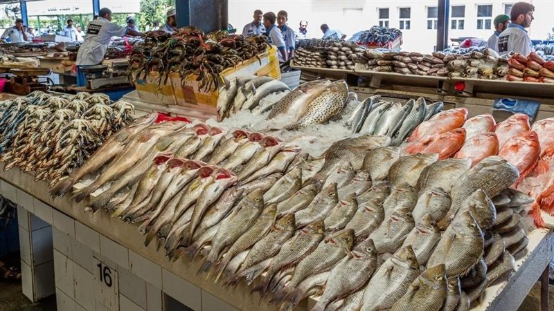 أسعار السمك اليوم،