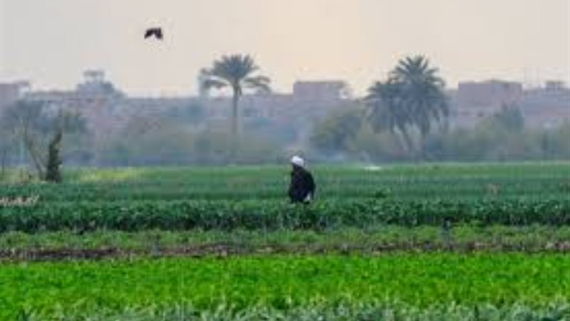 ​طقس البحيرة اليوم،