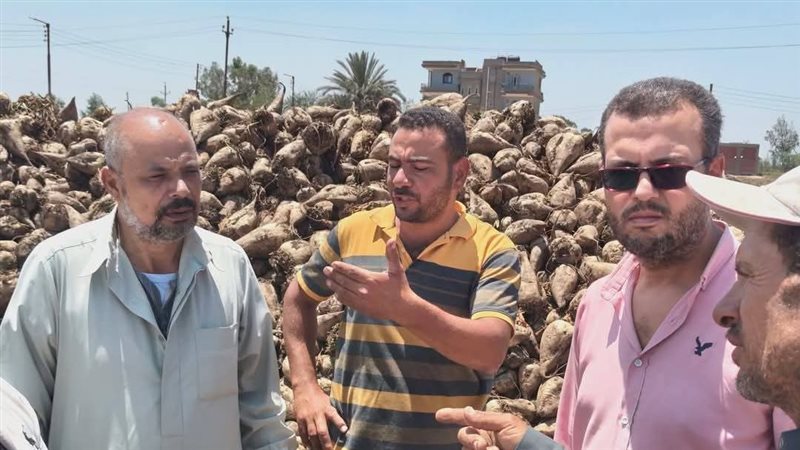 حل أزمة بنجر السكر