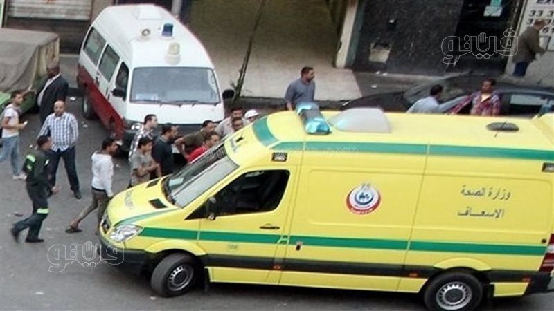 لغز غرق شقيقين بالشرقية،فيتو