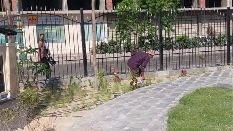 جانب من الأعمال بحديقة