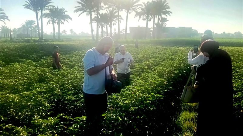 مكافحة حيوية للآفات،