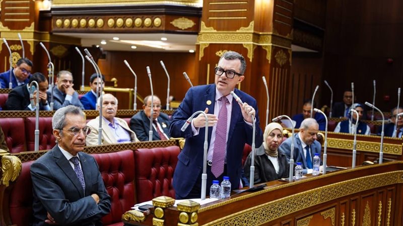 وزير التخطيط أمام