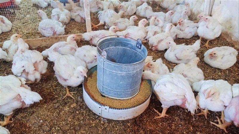 طرح الدورة الثالثة
