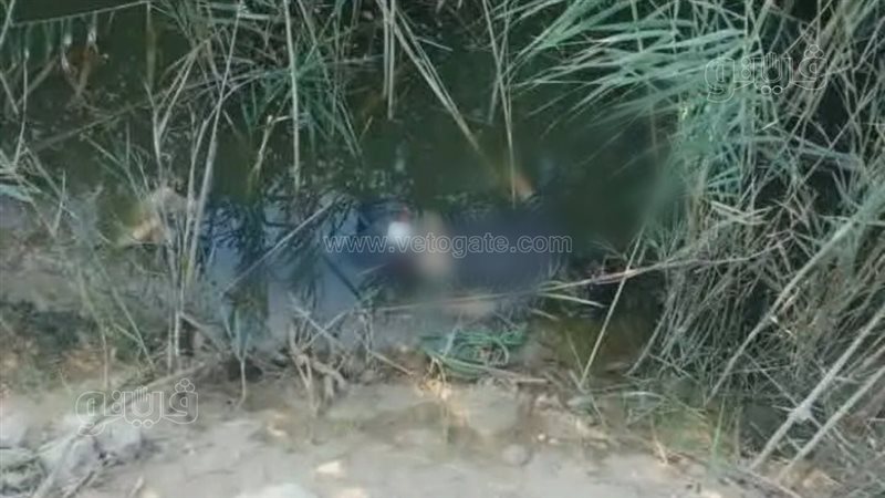 مصرف الشرقية،فيتو