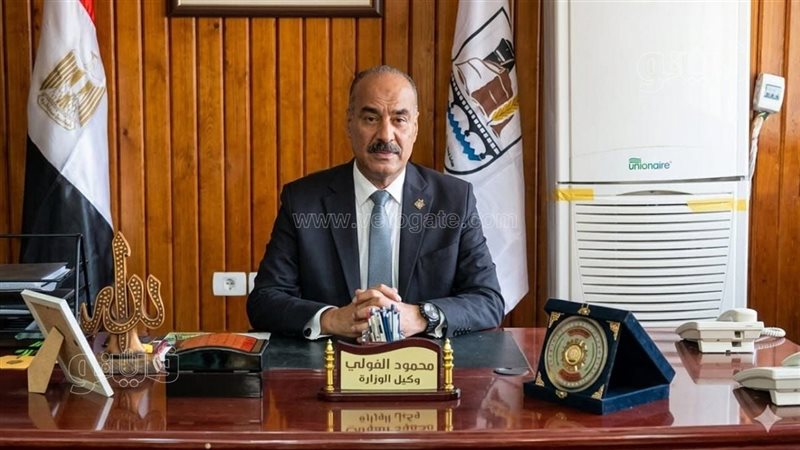 محمود الفولي وكيل