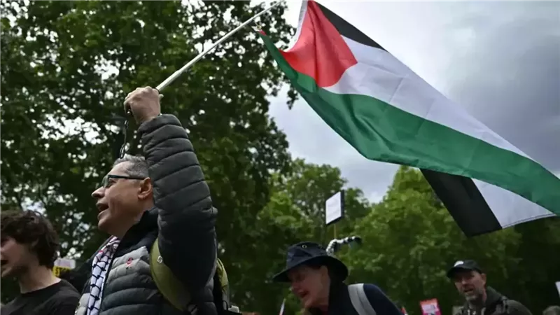 متظاهر يرفع علم فلسطين