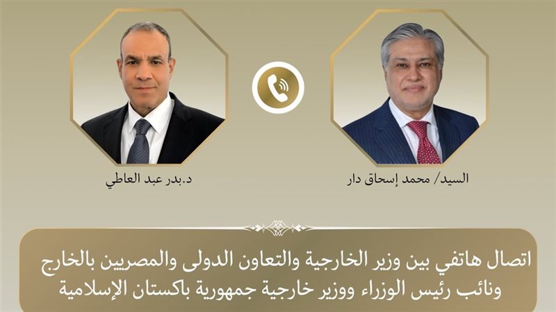 وزيرا خارجية مصر