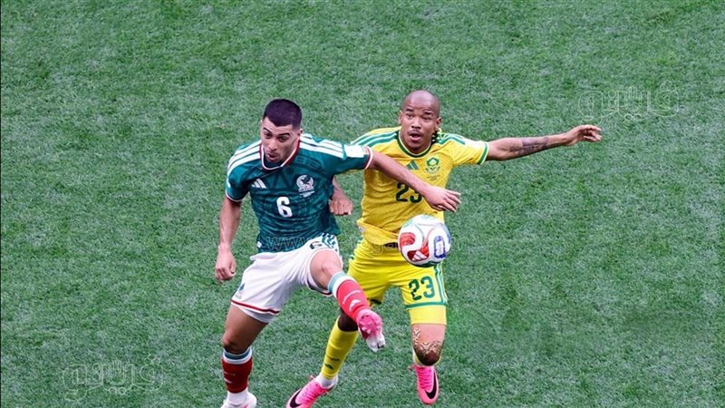 المكسيك وجنوب أفريقيا،