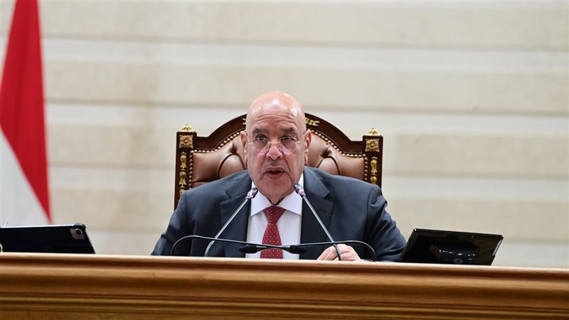 المستشار هشام بدوى،