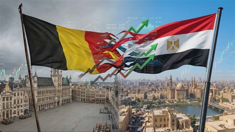 مصر وبلجيكا، معركة