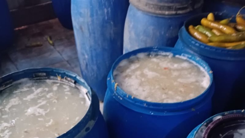 مضبوطات، فيتو