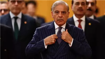  رئيس وزراء باكستان: مذكرة التفاهم بين واشنطن وطهران ستدخل حيز التنفيذ فورًا 