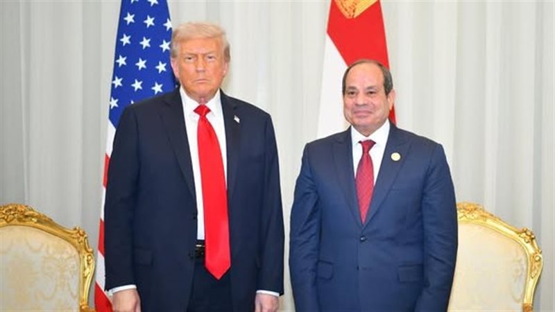 الرئيس السيسي، فيتو