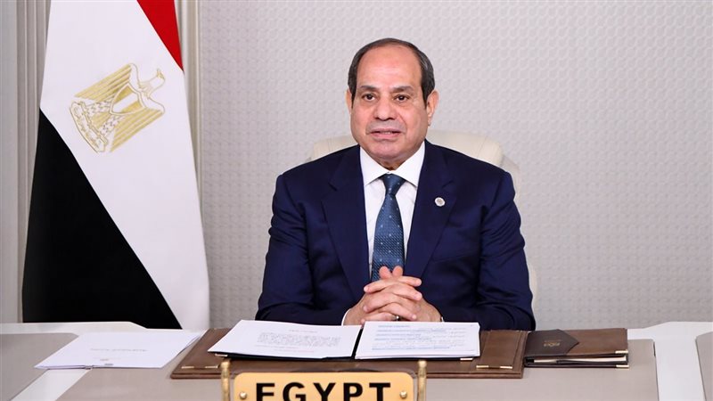 الرئيس السيسي، فيتو