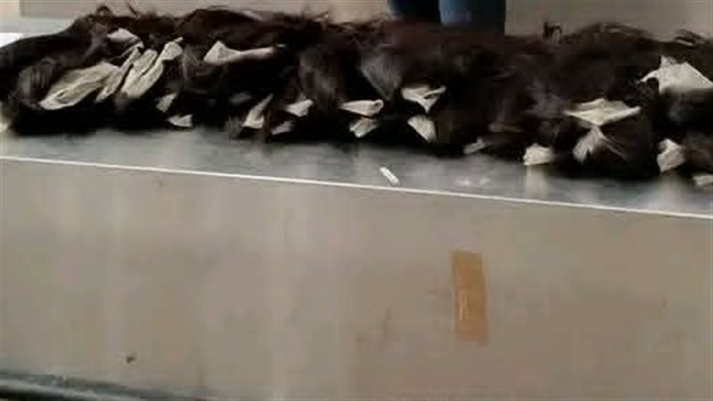 جانب من المضبوطات