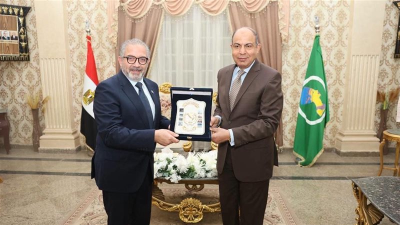 محافظ المنيا