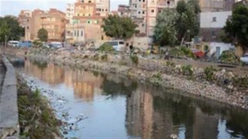 ترعة المحمودية، فيتو