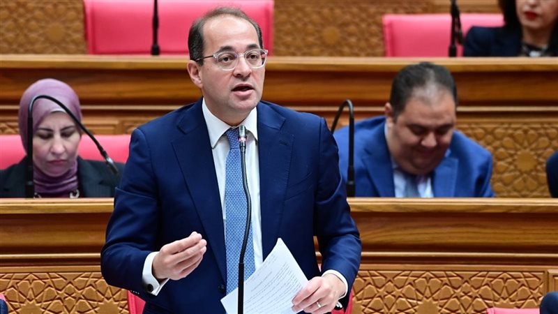 وزير المالية أمام