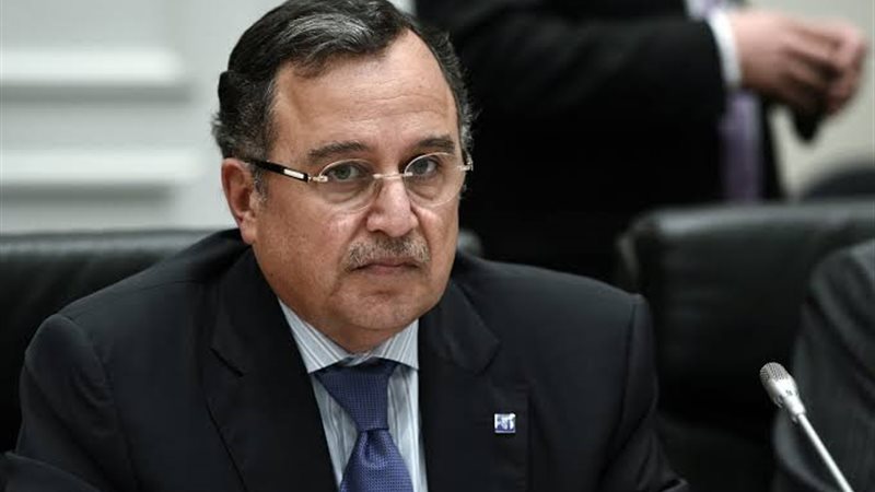 الدكتور نبيل فهمى،