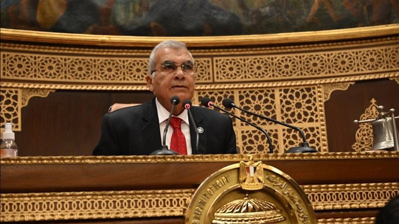  المستشار عصام فريد
