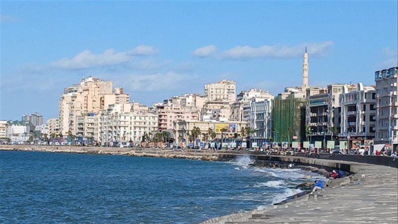 حالة الطقس، فيتو