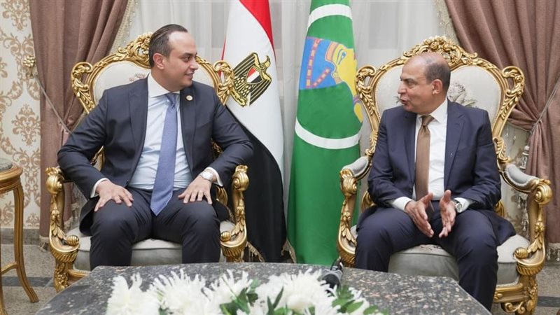 محافظ المنيا يلتقي