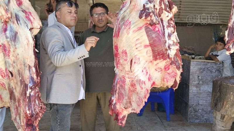 حملة موسعة بمدينة