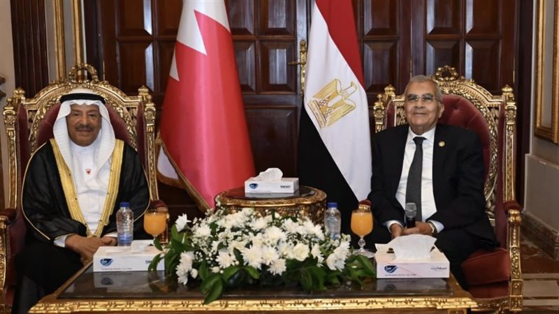 المستشار عصام فريد