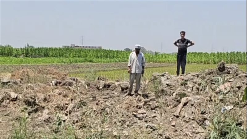 تطورات أزمة تمساح