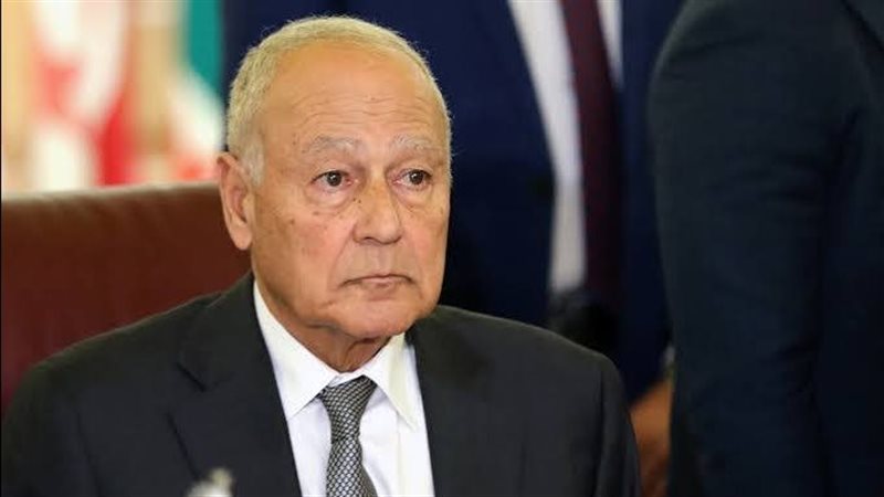 أحمد أبو الغيط، فيتو