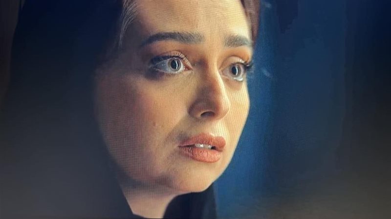 الفنانة هبة مجدي،
