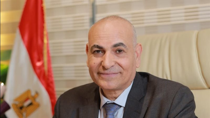 د.ناصر عبد الباري،