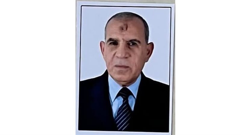 المستشار ربيع ابنه