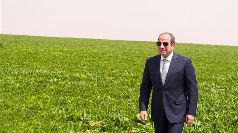 الرئيس عبد الفتاح