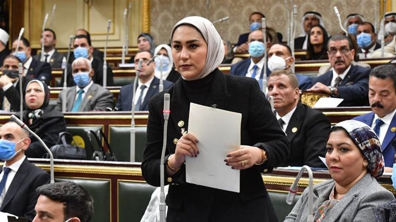النائبة آية فوزى