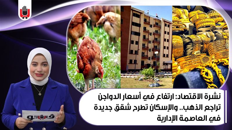 نشرة الاقتصاد